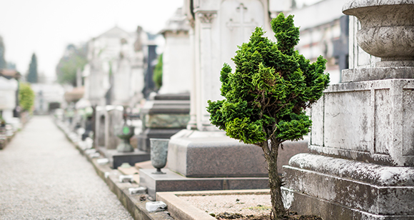 Funerais em Jazigo